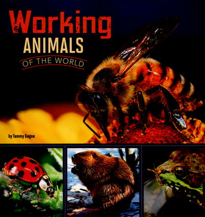 Working Animals of the World - Tammy Gagne - Inne - Capstone Global Library Ltd - 9781406293135 - 10 marca 2016