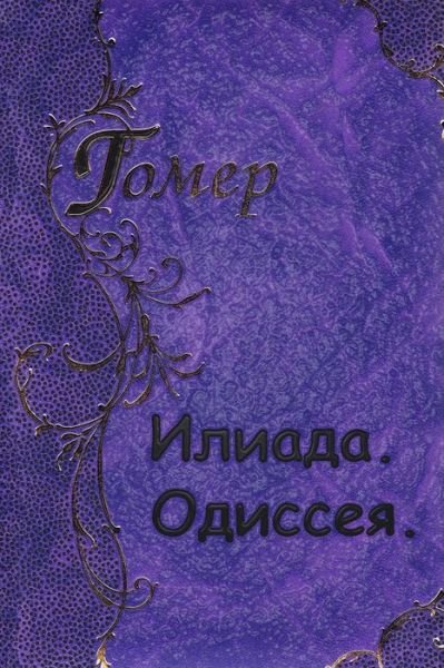 Cover for Homer · Iliada Odisseya (Taschenbuch) (2015)