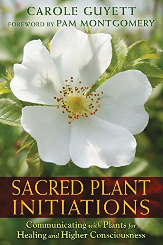 Cover for Carole Guyett · Sacred Plant Initiations: Communicating with Plants for Healing and Higher Consciousness (Paperback Book) (2015)