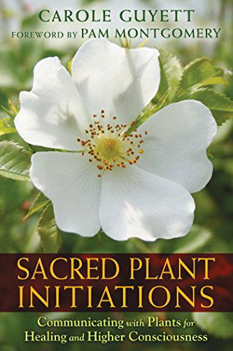 Cover for Carole Guyett · Sacred Plant Initiations: Communicating with Plants for Healing and Higher Consciousness (Taschenbuch) (2015)