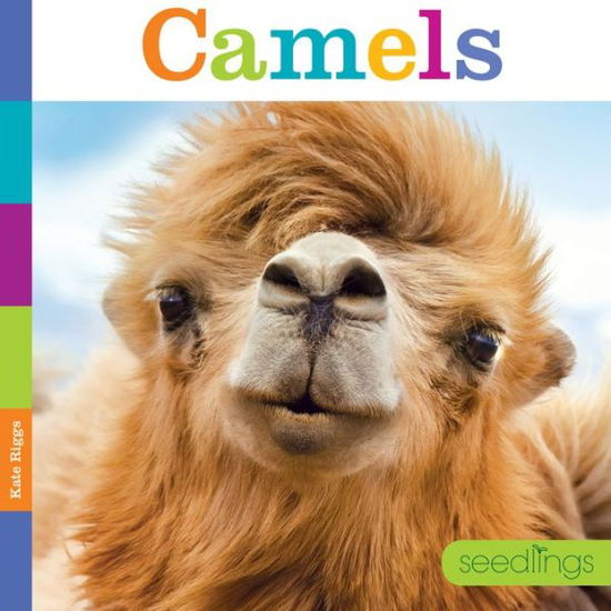 Cover for Kate Riggs · Seedlings: Camels (Paperback Book) (2015)