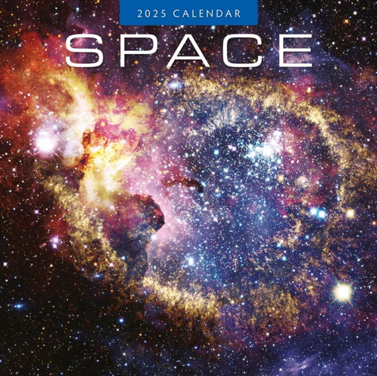 Cover for Red Robin · Space 2025 Square Wall Calendar (Paperback Book) (2024)