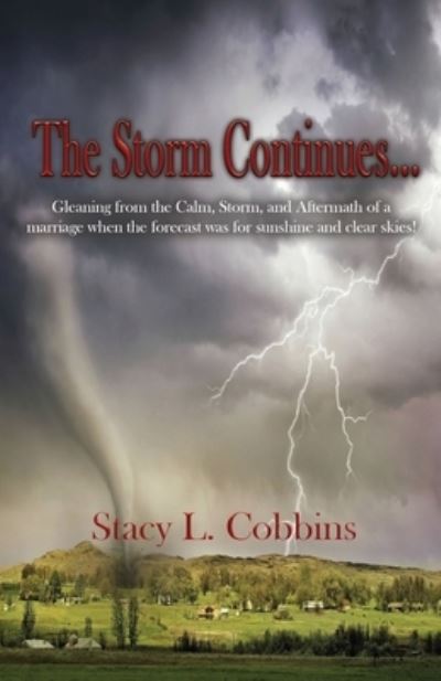 Cover for Stacy L Cobbins · The Storm Continues... (Paperback Book) (2021)