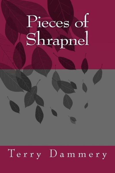 Cover for Terry Dammery · Pieces of Shrapnel (Paperback Book) (2018)