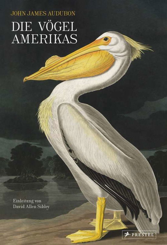 Cover for John James Audubon · Die Vögel Amerikas (Hardcover Book) (2021)