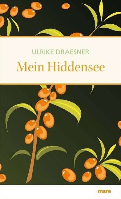 Cover for Draesner · Mein Hiddensee (Buch)