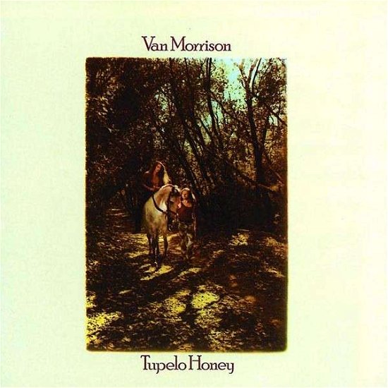Cover for Van Morrison · Tupelo Honey (LP) (2008)