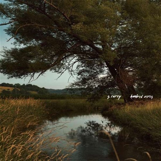 Hundred Acres Green Limited Edition LP - S Carey - Musiikki - JAGJAGUWAR - 0656605231136 - torstai 6. kesäkuuta 2019