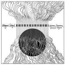 Autumn Resonance / Domino Figures - Wayne Siegel - Musikk - BSWE - 0769791964136 - 30. desember 2016