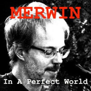 Cover for Merwin · In a Perfect World (CD) (2013)