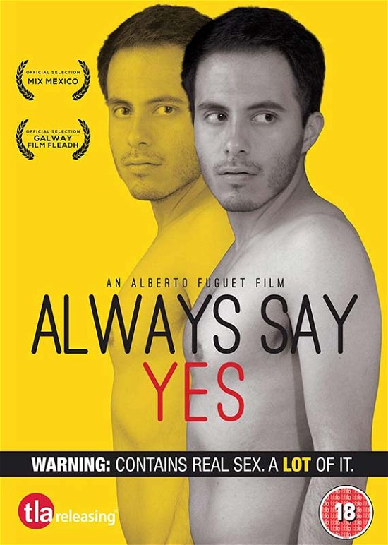 Always Say Yes - Feature Film - Films - WILDSTAR - TLA RELEASING - 5060496453136 - 6 januari 2020