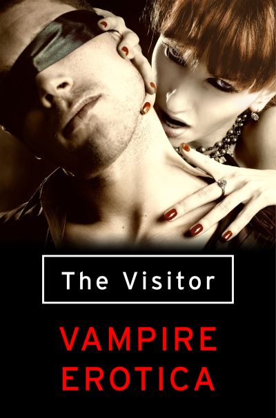 Cover for The Visitor: Vampire Erotica (Paperback Book) (2013)