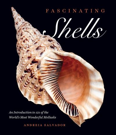 Cover for Andreia Salvador · Interesting Shells (N/A) (2022)