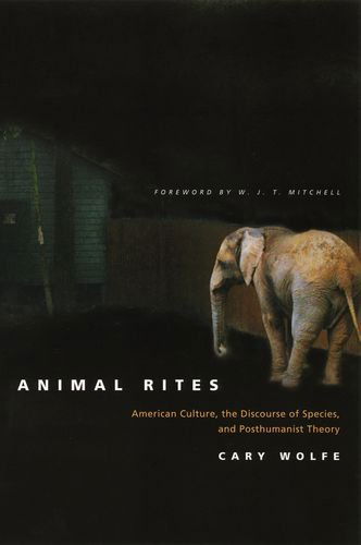 Cover for Cary Wolfe · Animal Rites: American Culture, the Discourse of Species, and Posthumanist Theory (Hardcover Book) (2003)