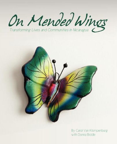 Cover for Donna Biddle · On Mended Wings: Transforming Lives and Communities in Nicaragua (Paperback Book) (2011)
