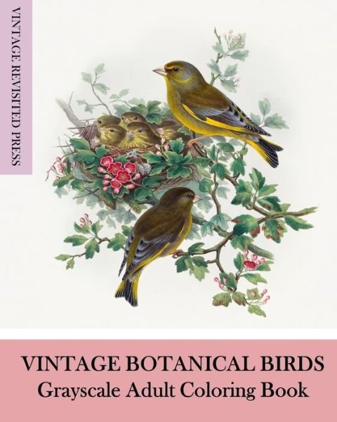 Vintage Revisited Press · Vintage Botanical Birds (Paperback Book) (2024)