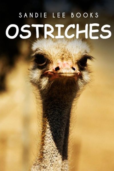 Cover for Sandie Lee Books · Ostriches - Sandie Lee Books (Paperback Bog) (2014)