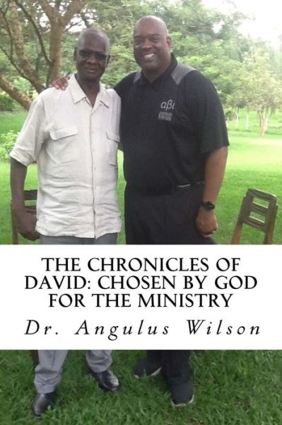 Cover for Angulus D Wilson Phd · The Chronicles of David (Paperback Book) (2017)