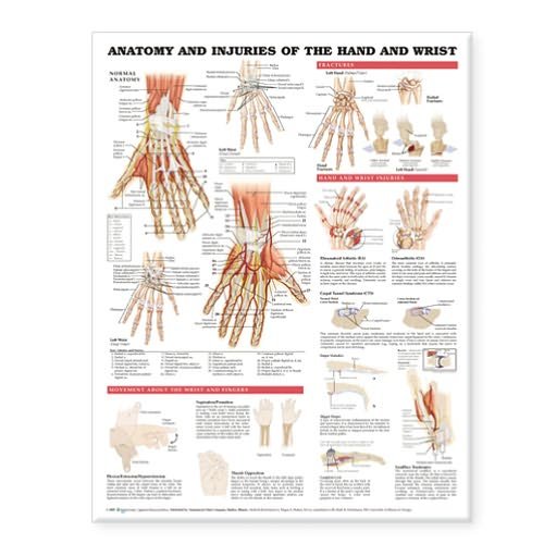 Cover for Anatomical Chart Com · Anatomy and Injuries of the Hand and Wrist Anatomical Chart (Map) (2005)