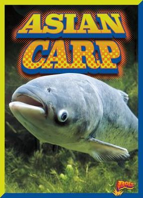 Cover for Barbara Ciletti · Asian Carp (Hardcover Book) (2017)