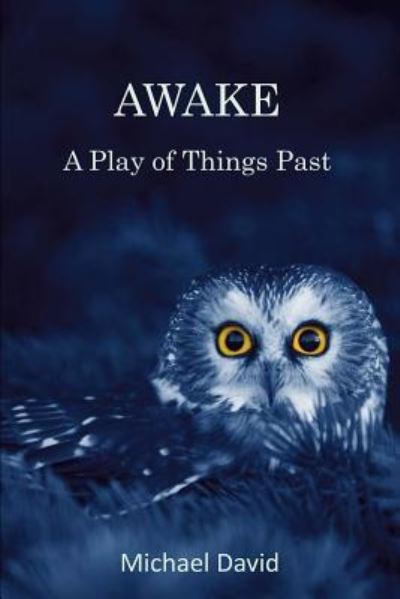 Awake - Michael David - Książki - Createspace Independent Publishing Platf - 9781979251136 - 6 listopada 2017