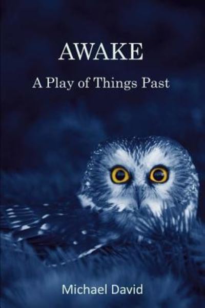 Awake - Michael David - Books - Createspace Independent Publishing Platf - 9781979251136 - November 6, 2017