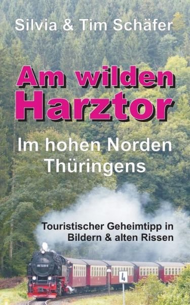 Cover for Schäfer · Am wilden Harztor: Im hohen Nor (Book) (2017)