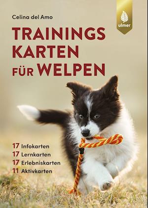 Trainingskarten für Welpen - Celina del Amo - Books - Ulmer Eugen Verlag - 9783818613136 - June 17, 2021