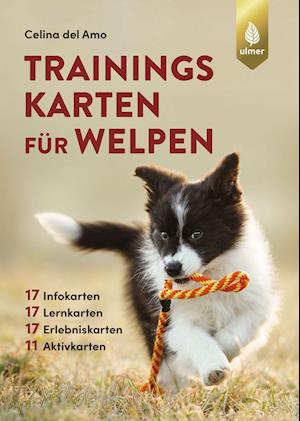 Cover for Celina del Amo · Trainingskarten für Welpen (Pocketbok) (2021)