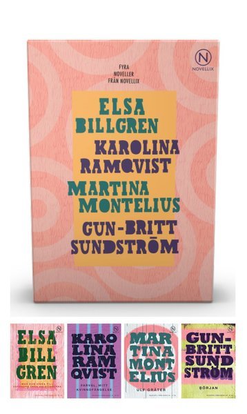 Cover for Karolina Ramqvist · Presentask med fyra kvinnliga samtidsförfattare (Book) (2019)
