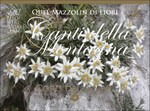 Cover for Coro Della S.A.T. · Quel Mazzolin Di Fiori Canti Della Montagna (CD) [Box set] (2015)