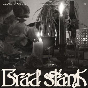 Cover for Brad Stank · In The Midst Of You (LP) (2024)