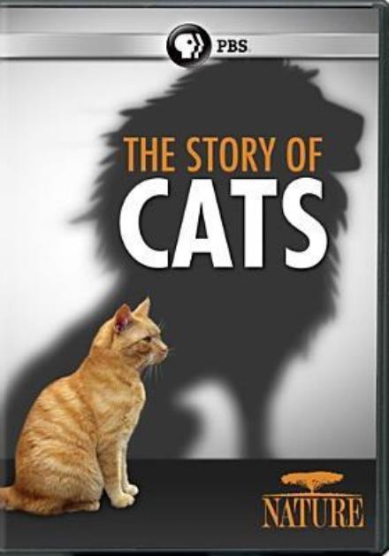 Cover for Nature: the Story of Cats (DVD) (2016)