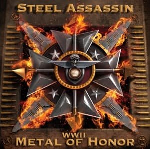 Cover for Steel Assassin · Ww Ii: Metal of Honor (Goldfarb. Vinyl, (LP) (2012)