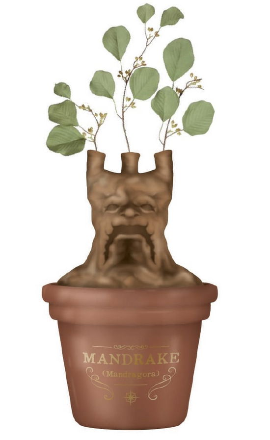 HARRY POTTER - Mandrake - Table Top Vase - P.Derive - Merchandise - HALF MOON BAY - 5055453482137 - 19. September 2021