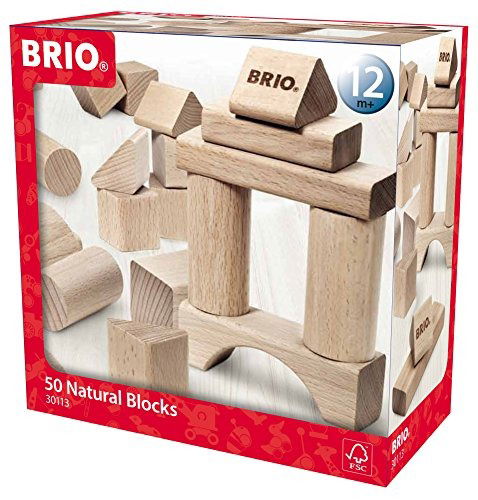 BRIO - 50 Natural Building Blocks - Brio - Merchandise - Brio - 7312350301137 - 2020