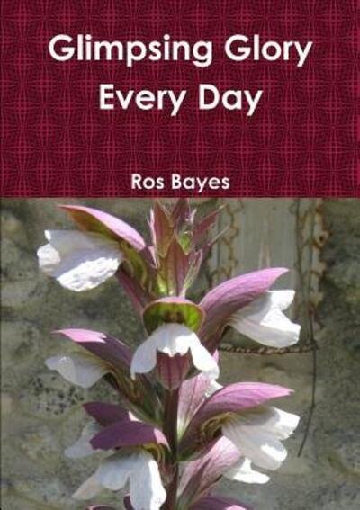 Cover for Ros Bayes · Glimpsing Glory Every Day (Taschenbuch) (2015)