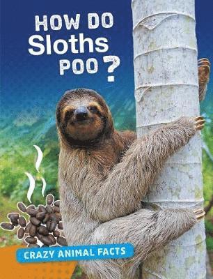 Cover for Nancy Furstinger · How Do Sloths Poo? (Hardcover Book) (2019)