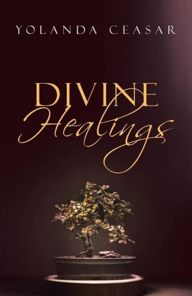 Cover for Yolanda Ceasar · Divine Healings (Pocketbok) (2013)