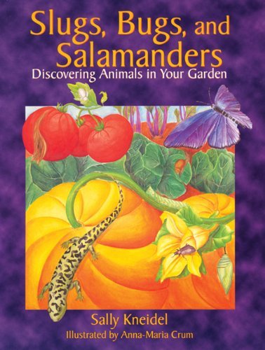 Cover for Sally Kneidel · Slugs, Bugs, and Salamanders: Discovering Animals in Your Garden (Paperback Book) (1997)