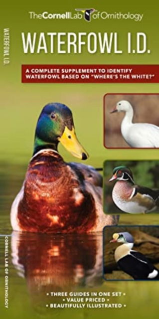 Cover for Kevin J McGowan · Waterfowl Id Set: A Complete Supplement to Indentify Waterfowl Based on Where's the White? - Nature Set (Paperback Book) (2022)