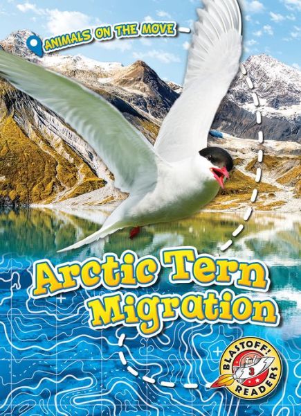 Cover for Kari Schuetz · Arctic Tern Migration (Hardcover Book) (2019)