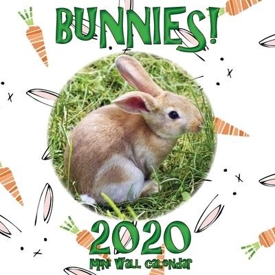 Cover for Sea Wall · Bunnies! 2020 Mini Wall Calendar (Taschenbuch) (2019)