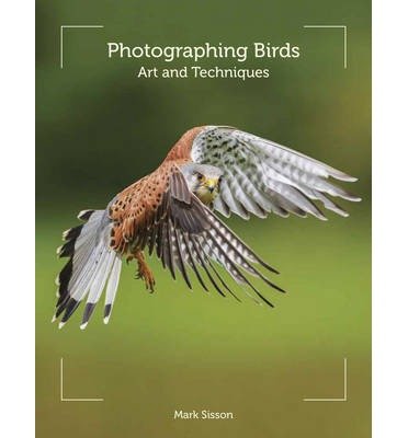Cover for Mark Sisson · Photographing Birds: Art and Techniques (Paperback Book) (2014)