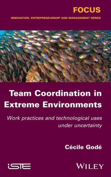 Cover for Cecile Gode · Team Coordination in Extreme Environments: Work Practices and Technological Uses under Uncertainty (Paperback Book) (2015)