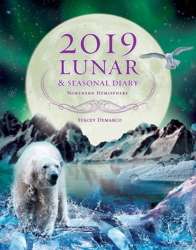 Cover for Demarco, Stacey (Stacey Demarco) · 2019 Lunar &amp; Seasonal Diary: Northern Hemisphere (Spiralbok) (2018)