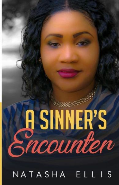 Cover for Natasha Ellis · A Sinners Encounter (Paperback Book) (2018)