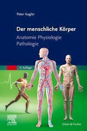 Cover for Peter Kugler · Der menschliche Körper (Paperback Book) (2021)