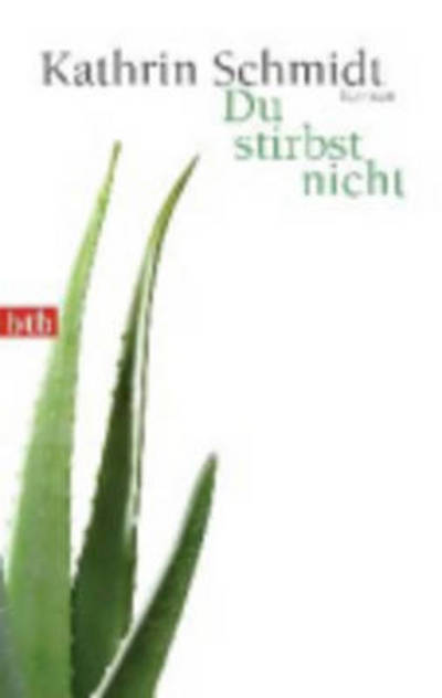 Cover for Kathrin Schmidt · Du stirbst nicht (Paperback Book) (2010)