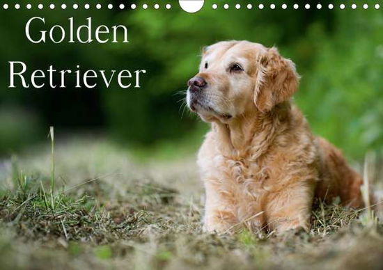 Cover for Noack · Golden Retriever (Wandkalender 20 (Book)